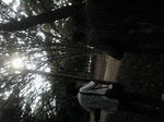 SA360017.jpg