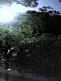 061014_173505.jpg