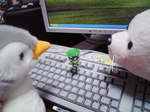 SA360021.jpg