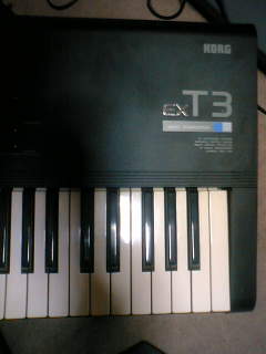 T3.jpg