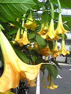 Image036.jpg