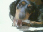 200609152029001.jpg